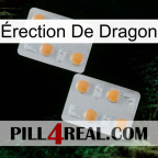 Érection De Dragon 25